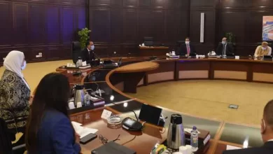 جانب من اجتماع مجلس الوزراء اليوم