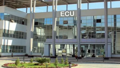 الجامعة المصرية الصينية