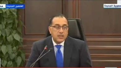 مصطفى مدبولي رئيس الوزراء