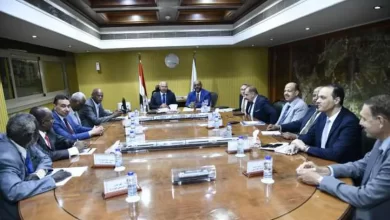 خطة لتطوير هيئة وادي النيل للملاحة النهرية بالتنسيق بين مصر والسودان