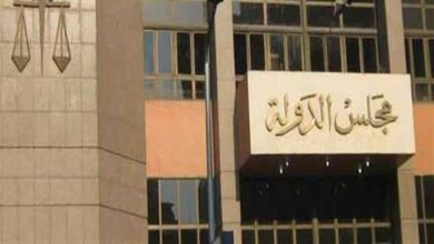 مجلس الدولة _ أرشيفية