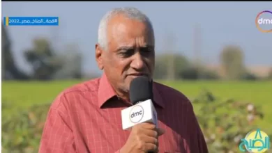 المهندس أحمد حسن مدير إدارة الزراعة بمدينة الزقازيق