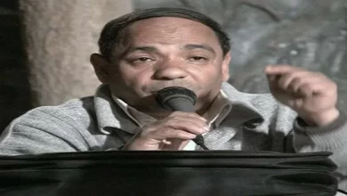 الدكتور محمد السيد إسماعيل الناقد الأدبي