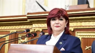 نورا علي، رئيس لجنة السياحة بمجلس النواب