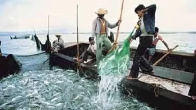 بحيرة المنزلة