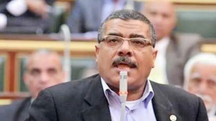 النائب معتز محمود