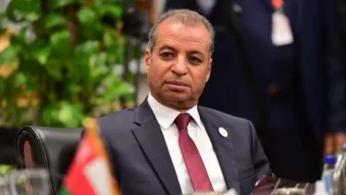 المستشار محمود إسماعيل عتمان الأمين العام لمجلس الشيوخ