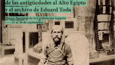 جانب من المعرض