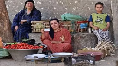 برامج الدولة للحماية الاجتماعية