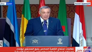 المستشار بولس فهمي رئيس المحكمة الدستورية العليا