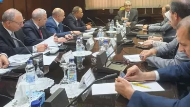 وزير الكهرباء خلال اجتماعه مع رئيس شركة توزيع البحيرة