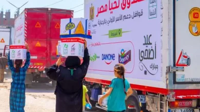 أنشطة صندوق «تحيا مصر»