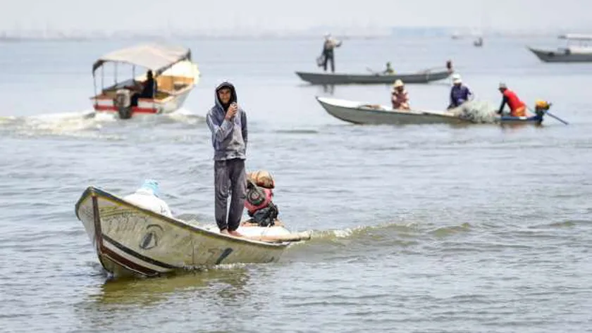 بحيرة المنزلة