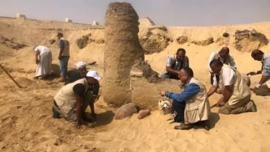 كشف سقارة الجديد