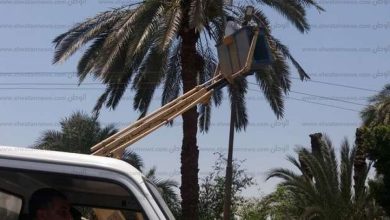 تركيب كشافات موفرة جديدة في الشوارع