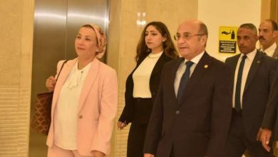«فؤاد»: قضاء مصر الشامخ صاحب الدور الرئيسي في حماية البيئة