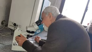 معهد بحوث أمراض النباتات - أرشيفية