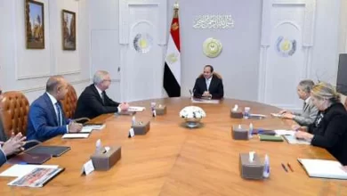 الرئيس السيسي خلال الأجتماع