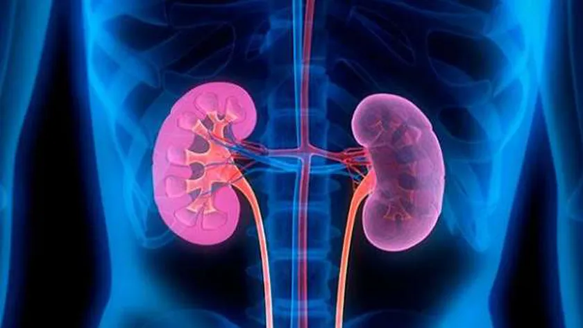 أمراض الكلى