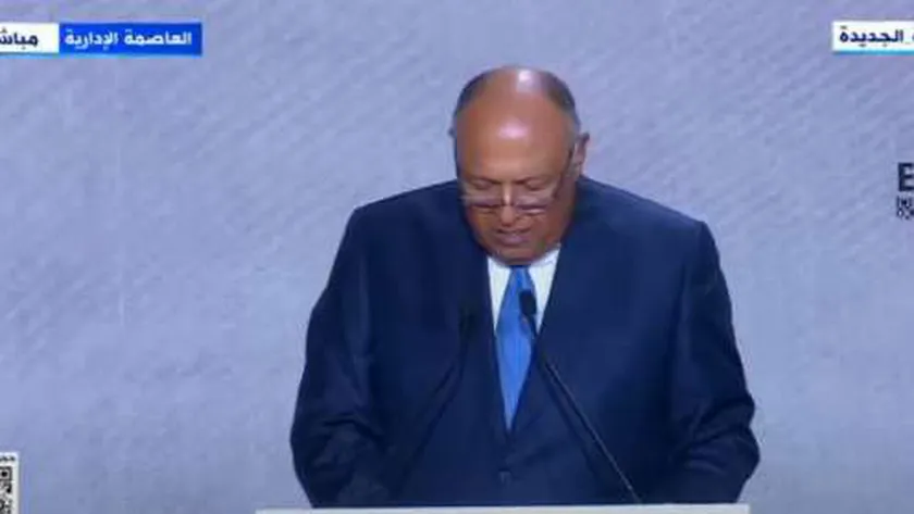 وزير الخارجية سامح شكري