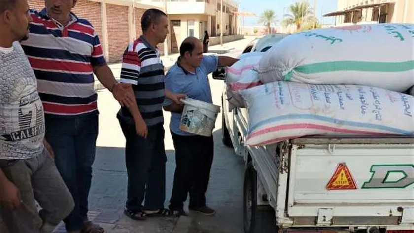 توريد الأرز