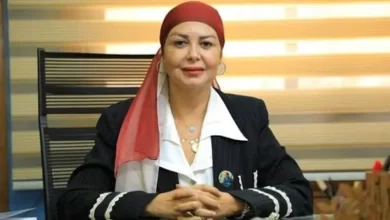 أمل سلامة - عضو لجنة حقوق الإنسان بمجلس النواب