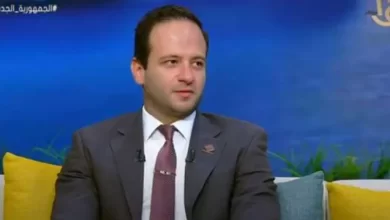 محمد الصعيدي - عضو تنسيقية شباب الأحزاب والسياسيين