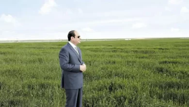 الرئيس عبدالفتاح السيسي