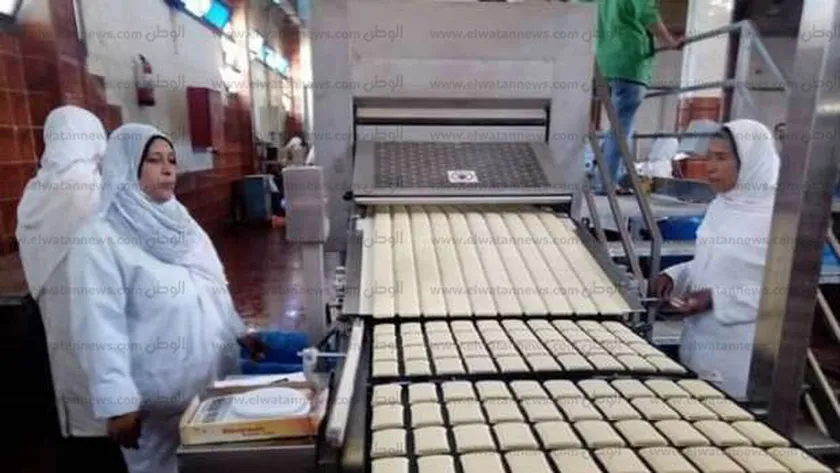 مشروعات الوجبات المدرسية