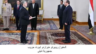 الرئيس السيسي يتسلم أوراق اعتماد 13 سفيرًا جديدًا