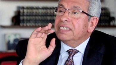 الدكتور عبد المنعم سعيد عضو مجلس الشيوخ