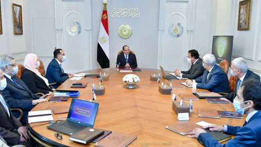 الرئيس السيسي خلال الاجتماع