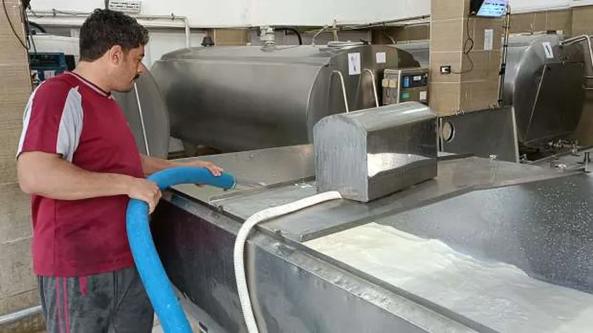 مشروعات الألبان