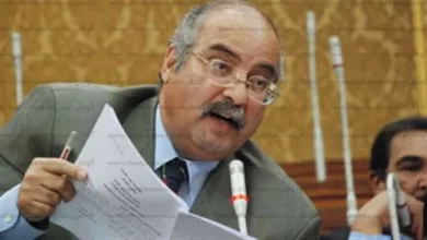 الدكتور مجدي علام مستشار برنامج المناخ العالمي وأمين عام اتحاد خبراء البيئة العرب