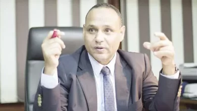 الدكتور محمود صقر رئيس أكاديمية البحث العلمي