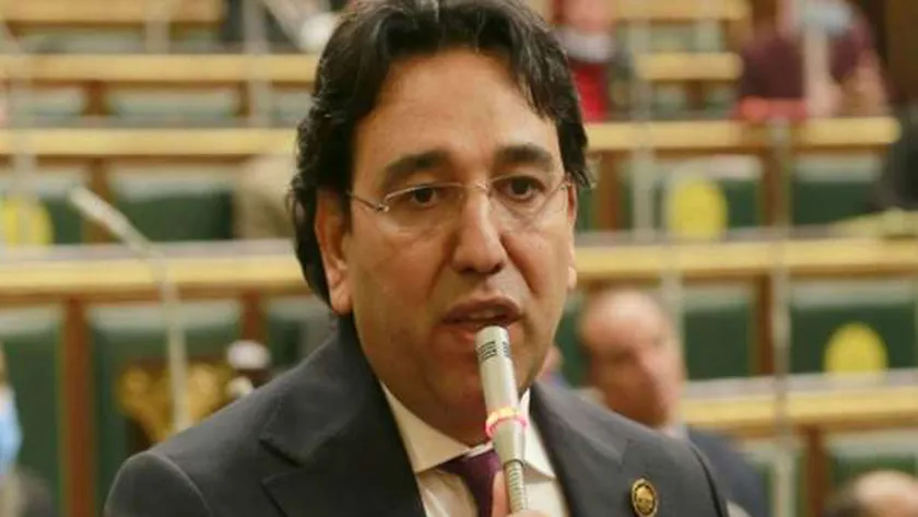 الدكتور أيمن محسب، عضو مجلس النواب