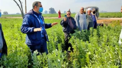 المدارس الحقلية