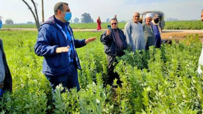 المدارس الحقلية