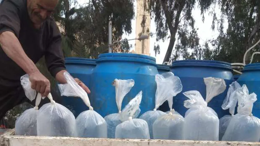 نقل زريعة الأسماك