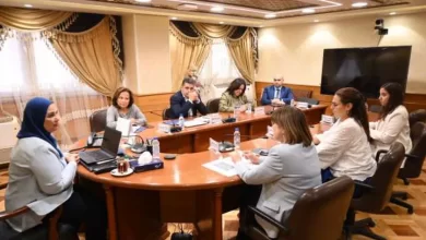 اجتماع التضامن مع المنسق المقيم للأمم المتحدة في مصر