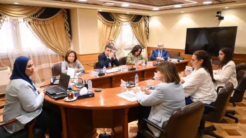 اجتماع التضامن مع المنسق المقيم للأمم المتحدة في مصر