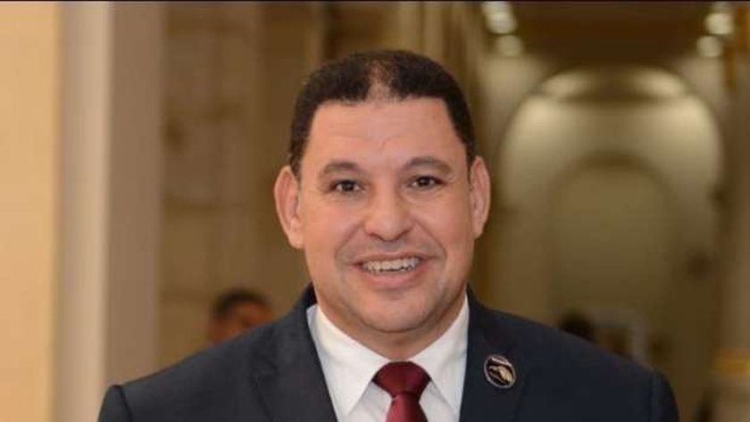 النائب عماد عبد التواب الدرجلي عضو مجلس النواب والهيئة البرلمانية لحزب مستقبل وطن