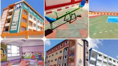 مشروعات تنمية الصعيد