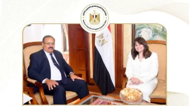 السفيرة سها جندي - وزيرة الدولة للهجرة وشؤون المصريين بالخارج