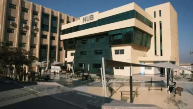 جامعة النهضة 2022