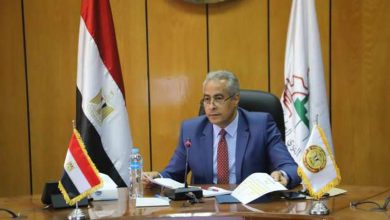 حسن شحاته، وزير القوى العاملة