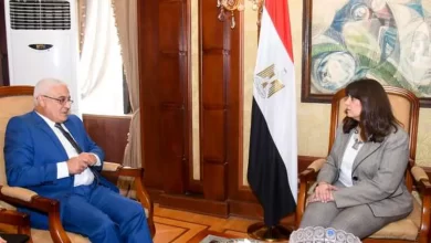 السفيرة سها جندي.. وزيرة الدولة للهجرة وشئون المصريين بالخارج