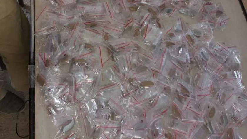 جانب من المضبوطات