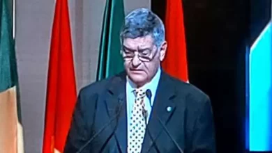 الدكتور نبيل حلمي