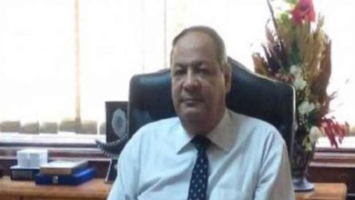 المهندس مدحت فودة رئيس مجلس إدارة شركة جنوب القاهرة لتوزيع الكهرباء